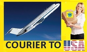 cheapest courier service to usa