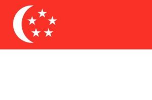 send courier singapore from india