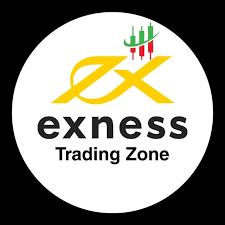 Comprehensive Guide to Exness Educational Resources